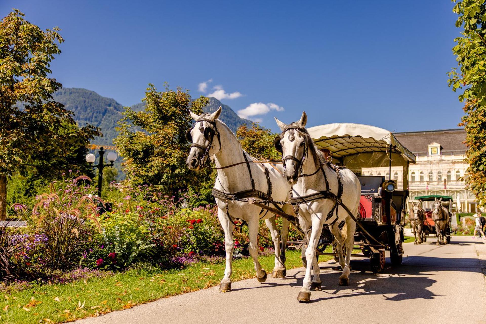 Jubilaeum Apartment Bad Ischl Esterno foto